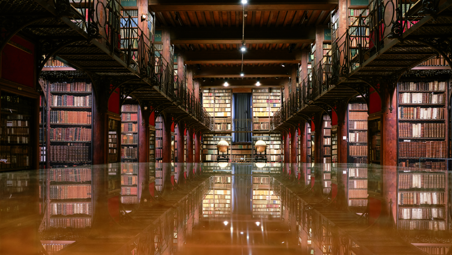 Heritage Library Antwerp — Nottebohm room