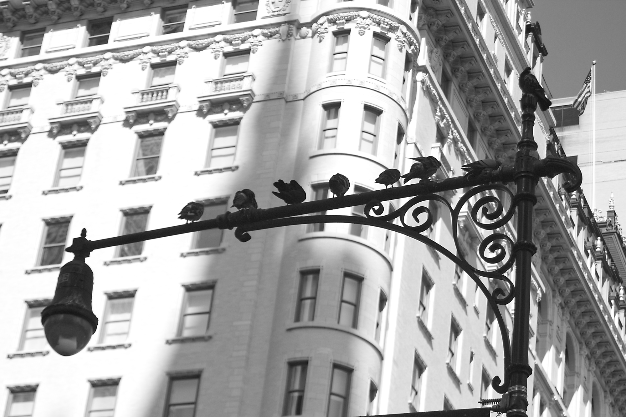 New York Sunday Morning