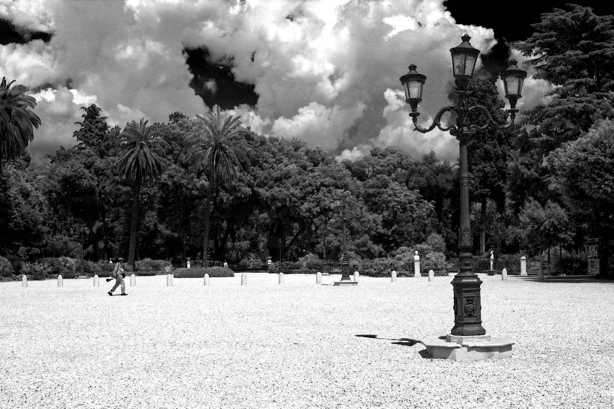 Roma